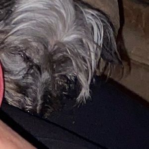 Meet your Posher, Beth